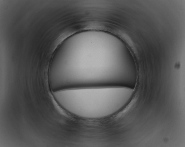 X0000101951041200807171128