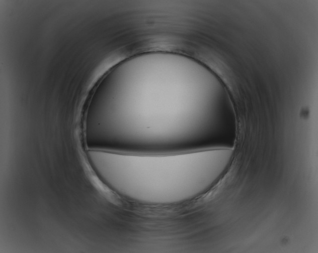 X0000101951042200807171128