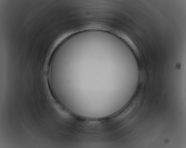 X0000101951043200807171128