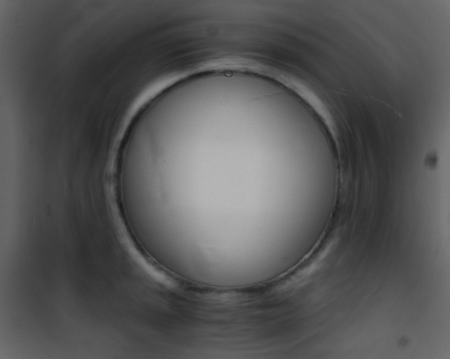 X0000101951045200807171128