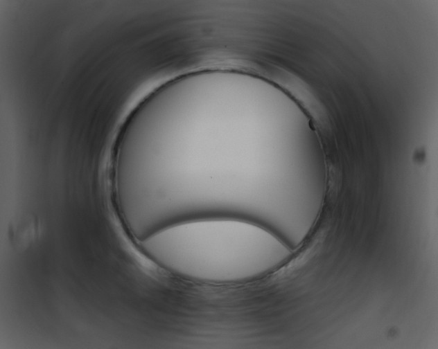 X0000101951046200807171129