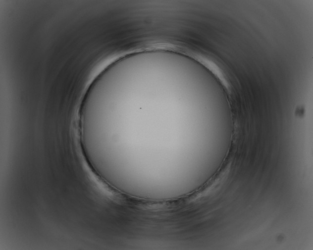 X0000101951047200807171129