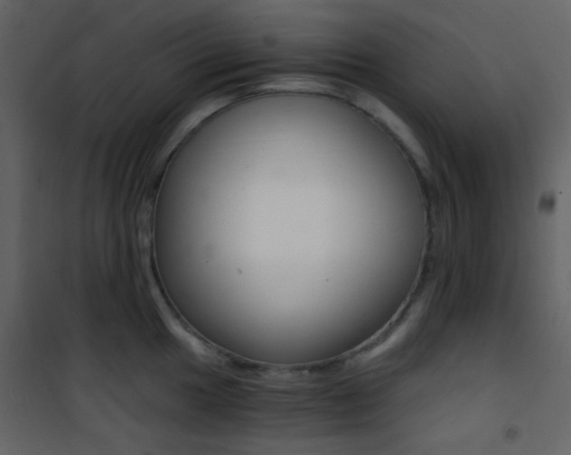 X0000101951049200807171129