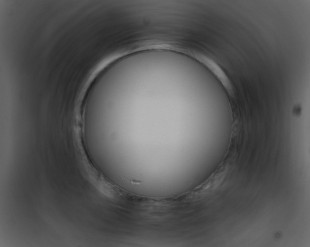 X0000101951051200807171129