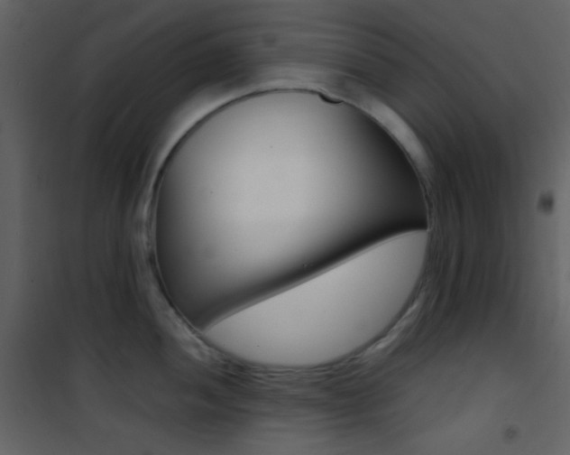 X0000101951052200807171129