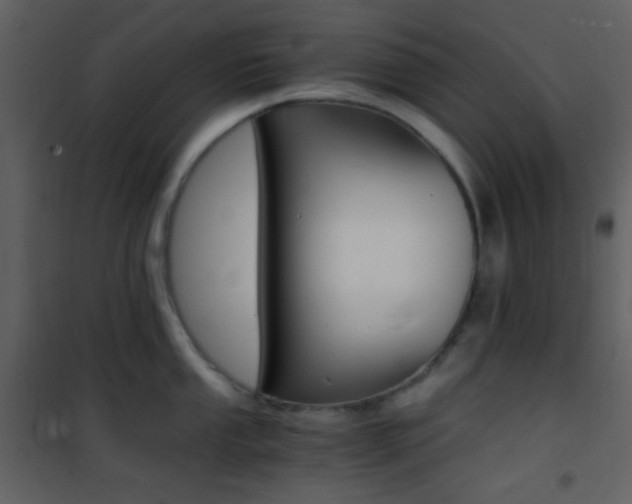 X0000101951053200807171129