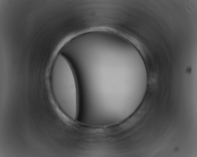 X0000101951054200807171129