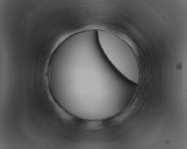 X0000101951055200807171129