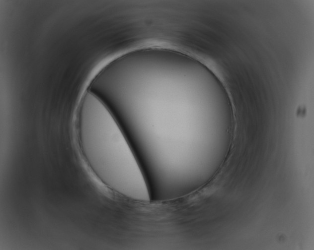 X0000101951056200807171129