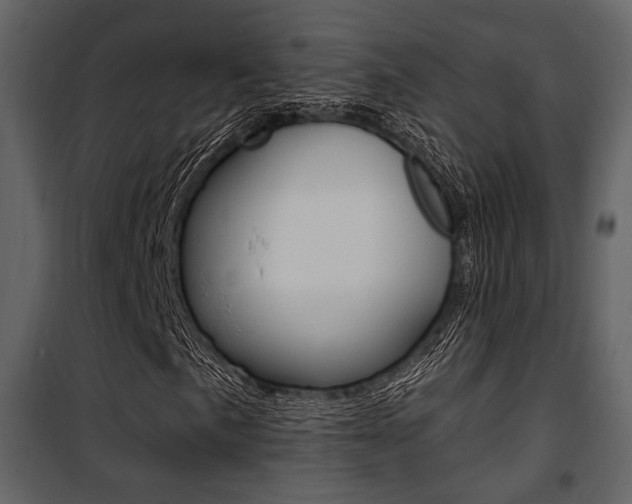 X0000101951057200807171128