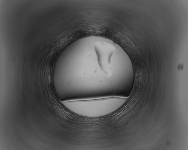 X0000101951058200807171128
