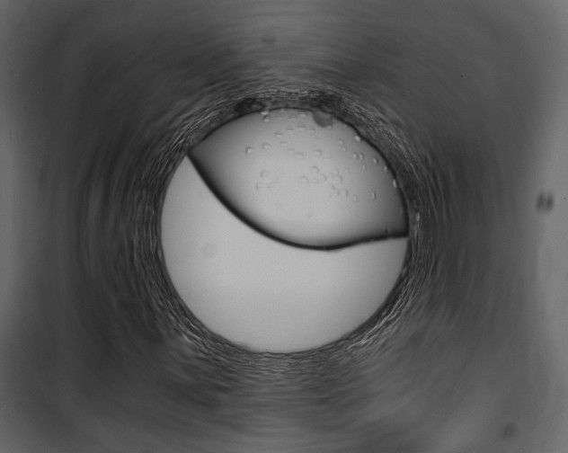 X0000101951059200807171128