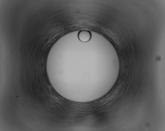 X0000101951060200807171128