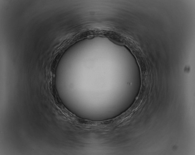 X0000101951061200807171128