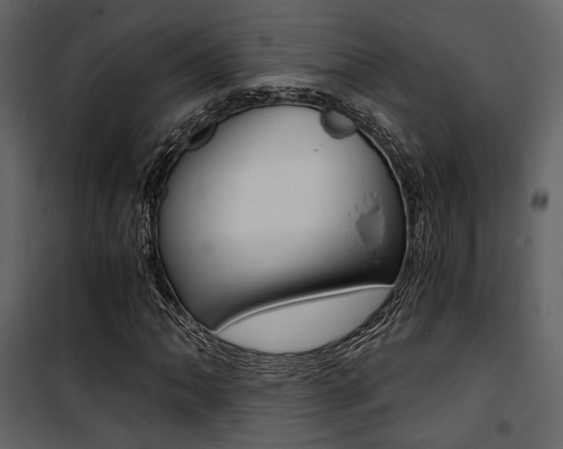 X0000101951062200807171128