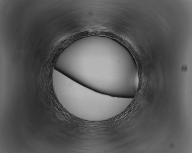 X0000101951063200807171128