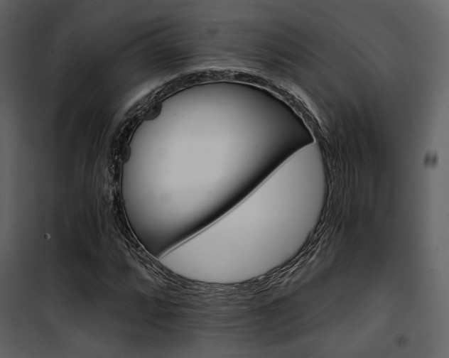 X0000101951064200807171128
