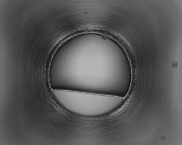 X0000101951065200807171128