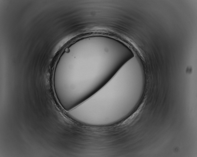 X0000101951066200807171128