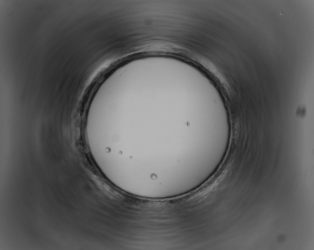 X0000101951067200807171128