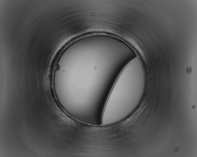 X0000101951068200807171128