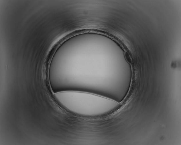 X0000101951069200807171128
