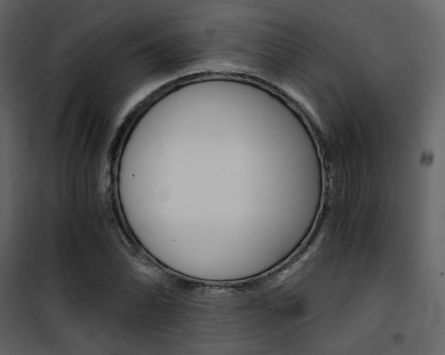 X0000101951070200807171128