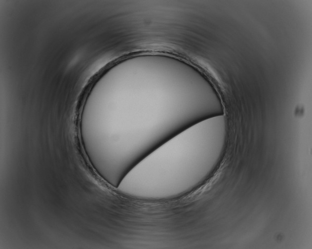 X0000101951071200807171128
