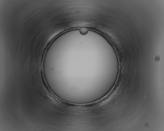 X0000101951073200807171128