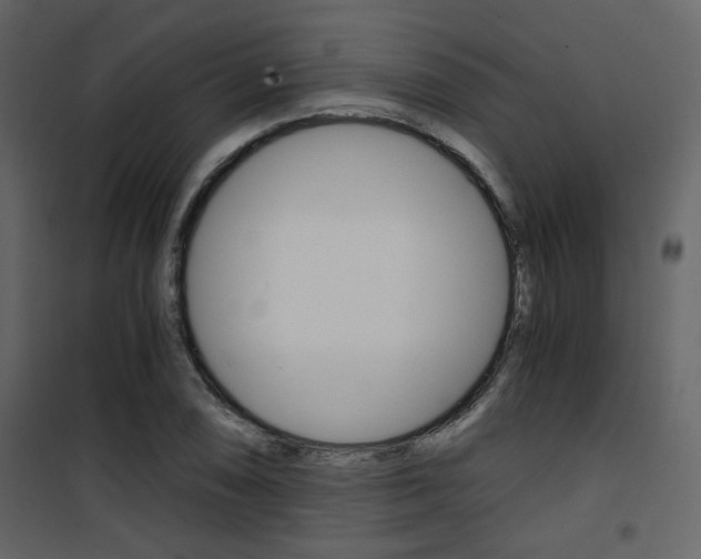 X0000101951074200807171128