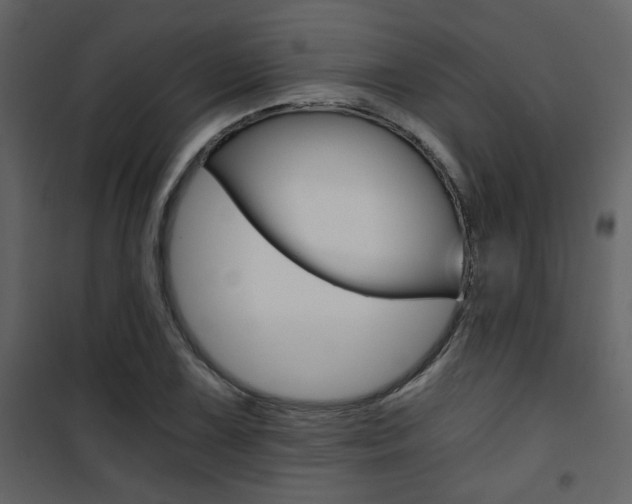 X0000101951075200807171128