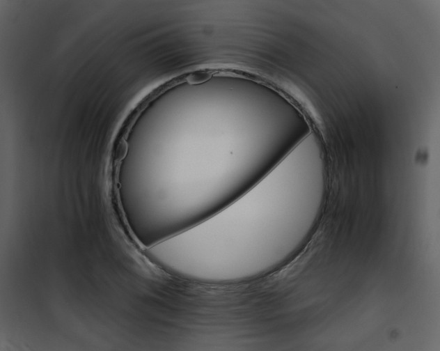 X0000101951076200807171128