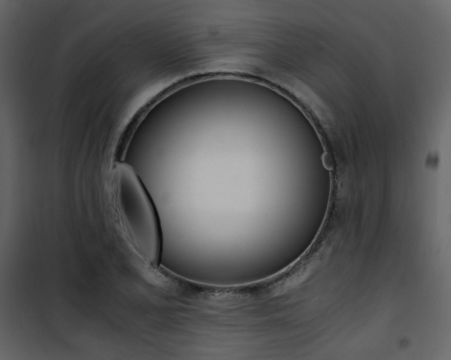 X0000101951077200807171128