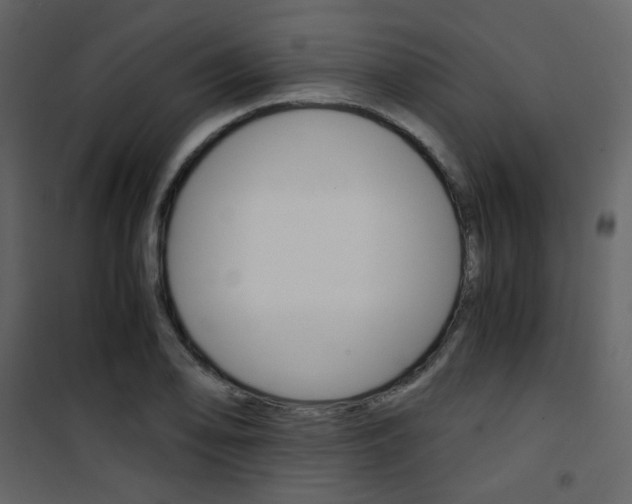 X0000101951078200807171128