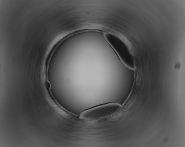 X0000101951080200807171128