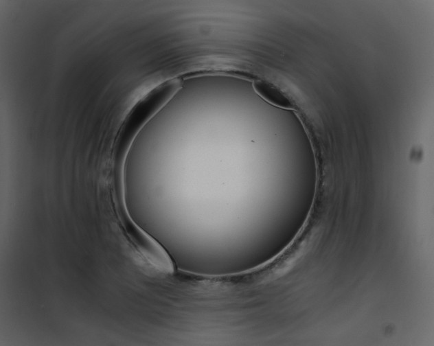 X0000101951081200807171128