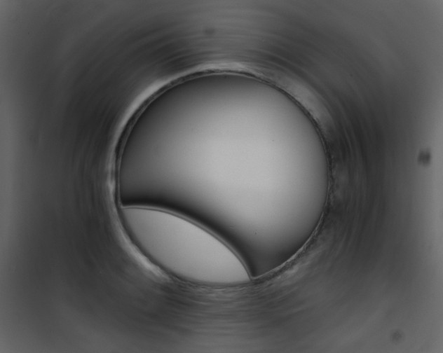 X0000101951084200807171128