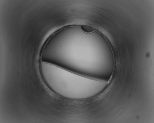X0000101951085200807171128