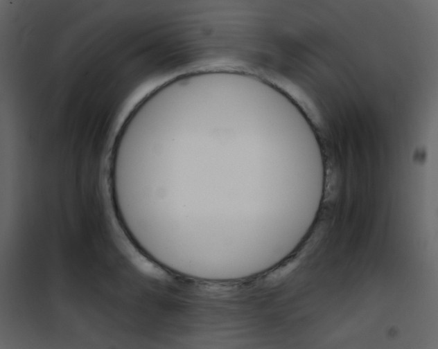 X0000101951086200807171127