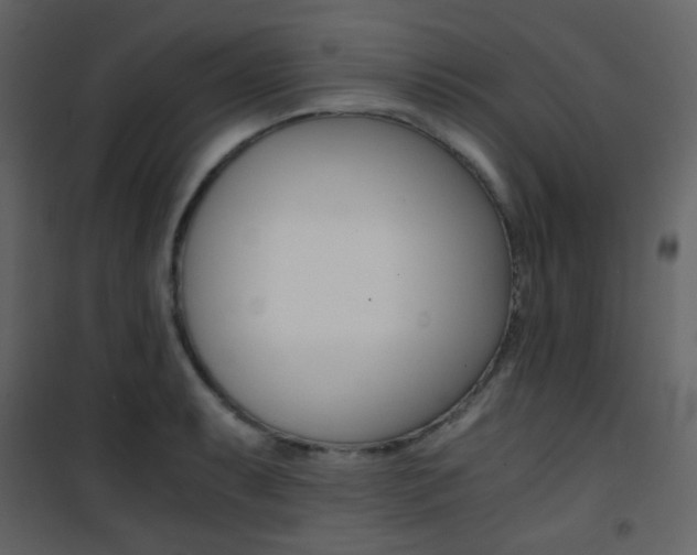 X0000101951087200807171127