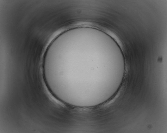 X0000101951090200807171127