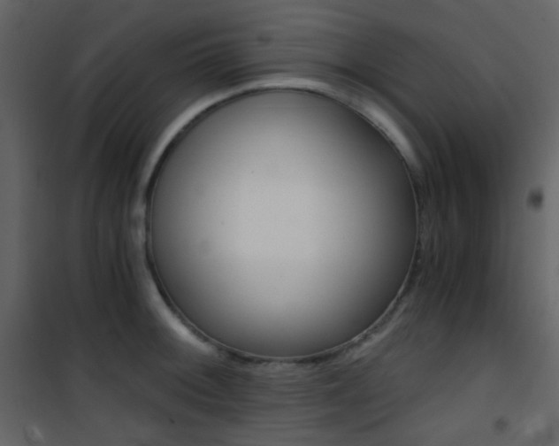 X0000101951092200807171127