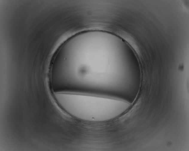 X0000101951093200807171127