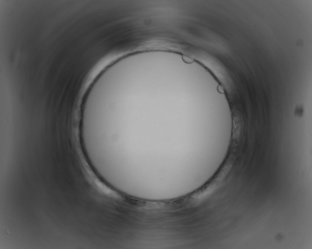 X0000101951094200807171127