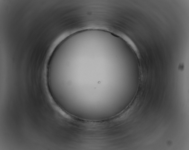 X0000101951096200807171127