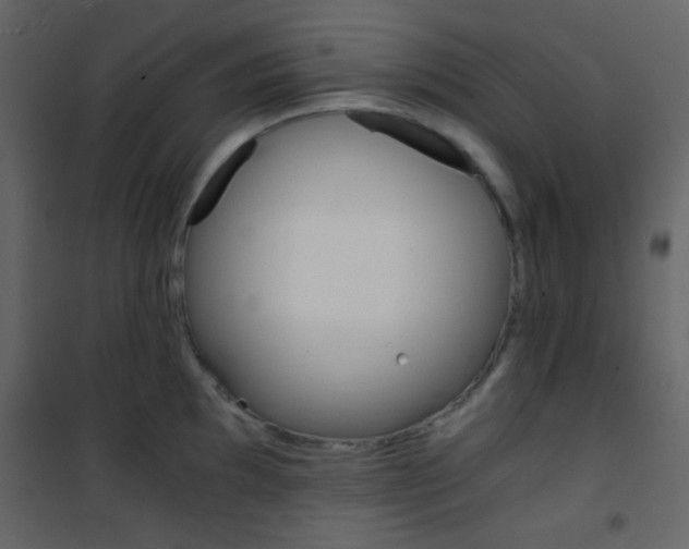 X0000101951097200807171127