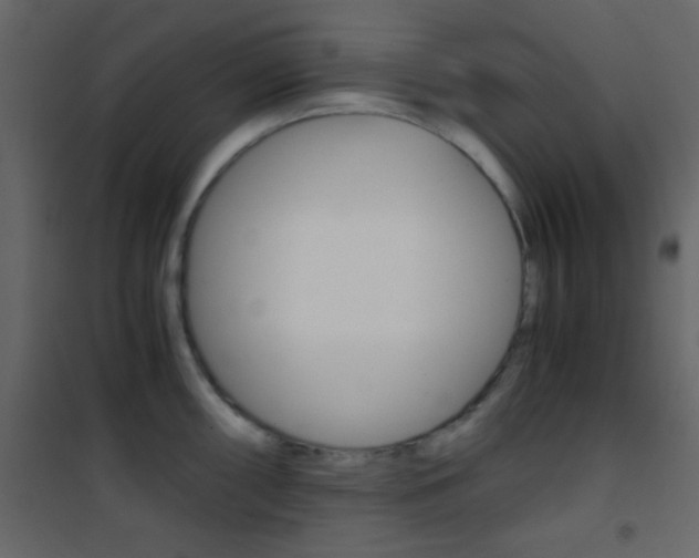 X0000101951098200807171127