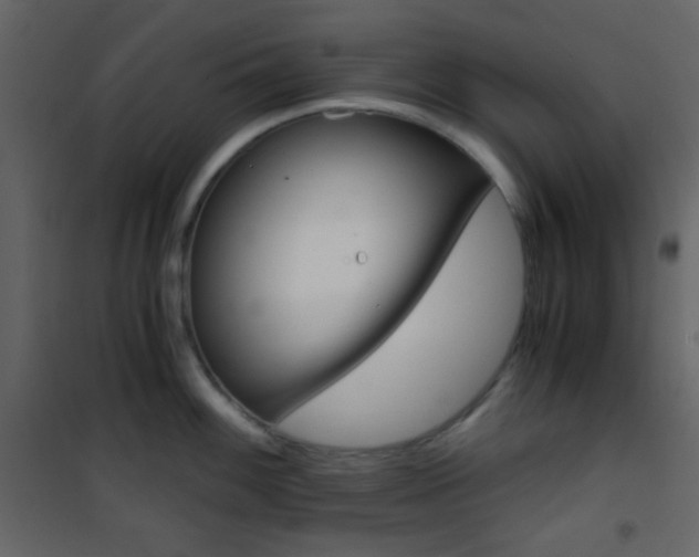 X0000101951100200807171127