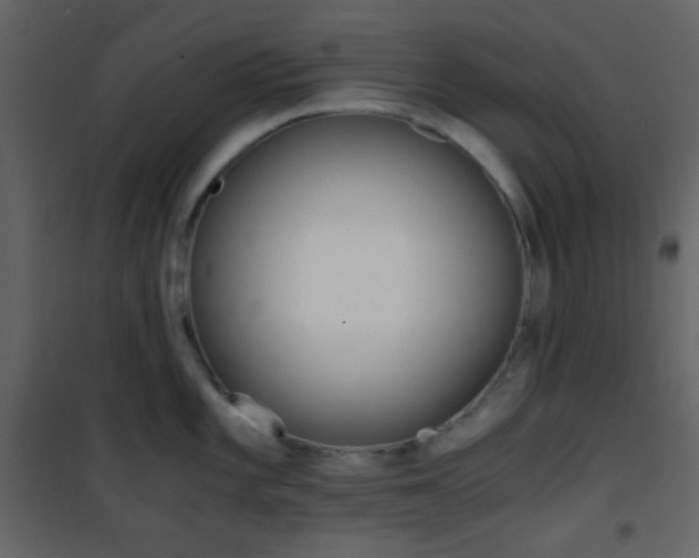 X0000101951101200807171127