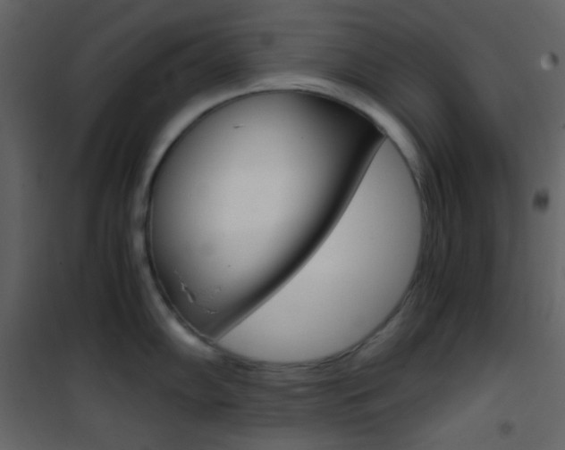 X0000101951102200807171127